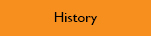 DiFiore Construction History