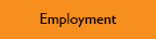 DiFiore Construction Employment